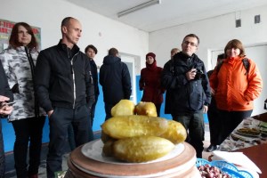 Дослідна станція 